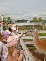 Ученики младших групп Духовно – просветительского Центра при Борисоглебском мужском монастыре г. Дмитрова вместе с родителями и педагогами посетили Николо-Пешношский монастырь.